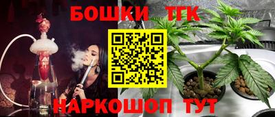 прущие крисы Новодвинск
